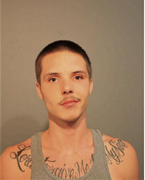 ALEX MICHAEL MCGINNIS, Cook County, Illinois