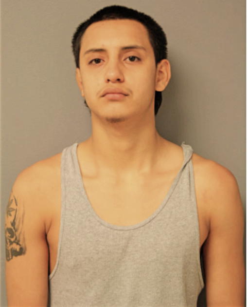 EDILBERTO MENDOZA, Cook County, Illinois
