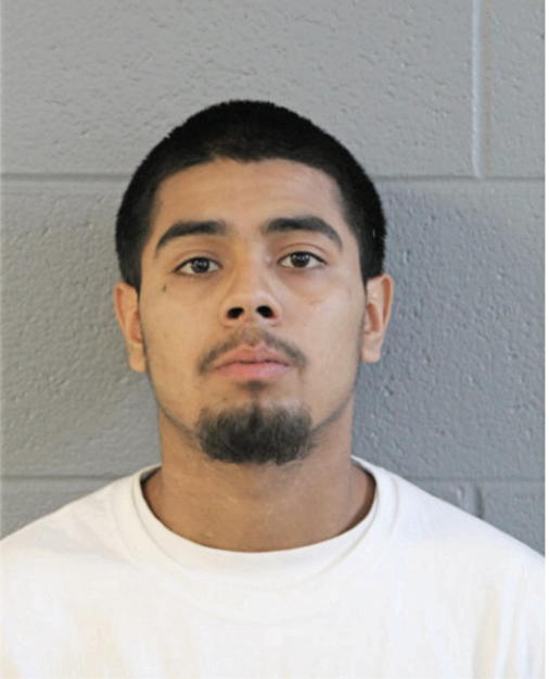 RENE MENDOZA, Cook County, Illinois