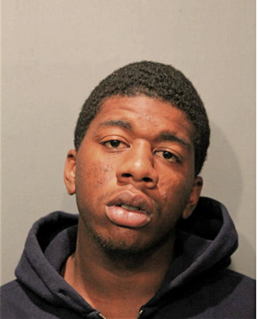 KENNETH W MERRITT, Cook County, Illinois