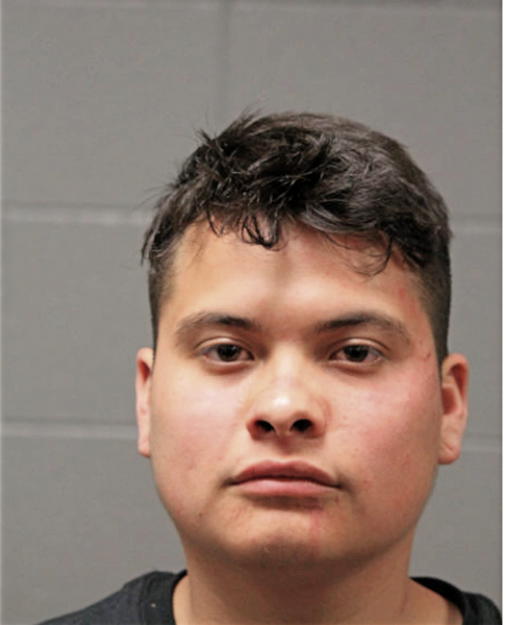 ALBERTO NAVA, Cook County, Illinois
