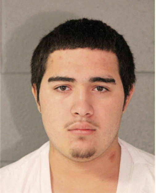 CARLOS M NUNEZ, Cook County, Illinois