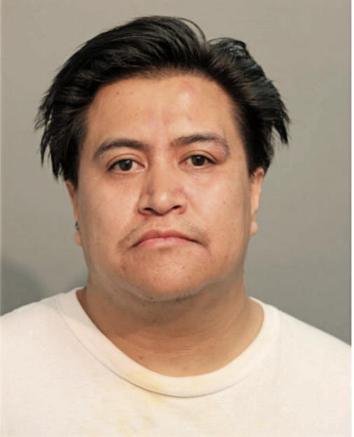 JOSE PATINO-CORREA, Cook County, Illinois