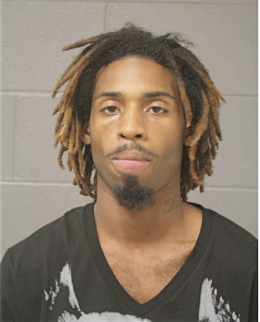 PATRICK M PIERCE, Cook County, Illinois