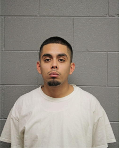 JULIO A PLASCENCIA, Cook County, Illinois