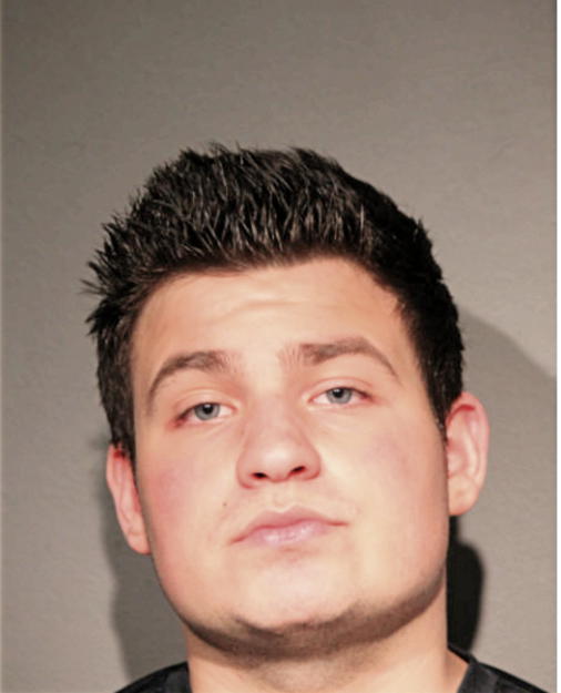 GABRIEL E PUJOL, Cook County, Illinois