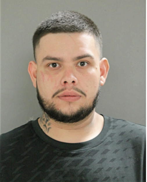 LUIS E REYES, Cook County, Illinois