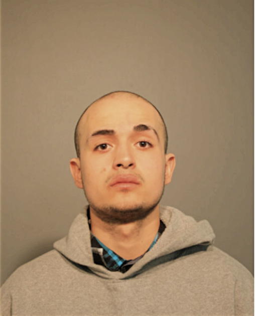 LUIS M RODRIGUEZ, Cook County, Illinois