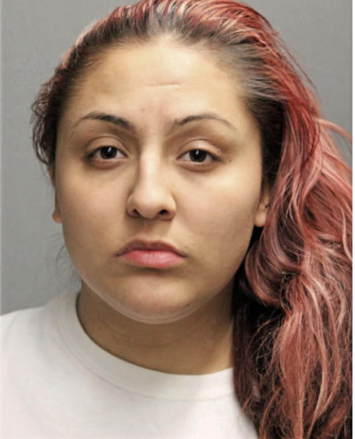 ALEXI C ROMAN, Cook County, Illinois