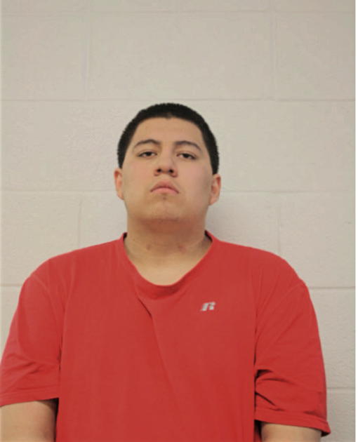 HERNAN SAUCEDO, Cook County, Illinois