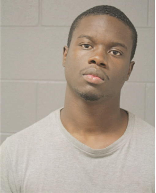 BRADLEY D WILSON, Cook County, Illinois