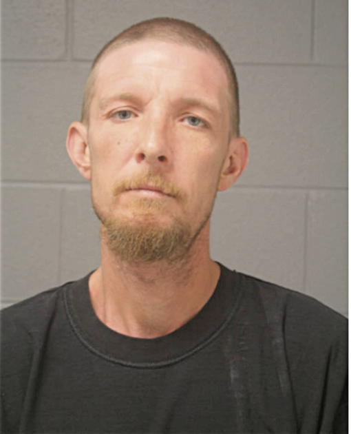 BRIAN D WOOD, Cook County, Illinois
