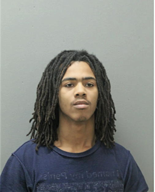 ARNEZ L BANKS, Cook County, Illinois