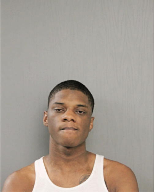 MICHAEL S BOYKIN, Cook County, Illinois