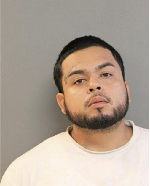 JOSE A CALDERON, Cook County, Illinois
