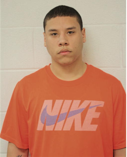 LOUIS J CARDONA, Cook County, Illinois