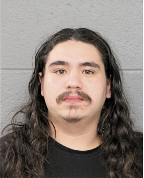 GABRIEL R ELIZONDO, Cook County, Illinois