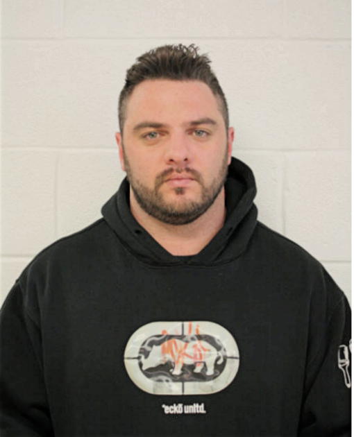 LEANDRO FERNANDES, Cook County, Illinois