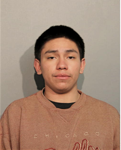 ALEXIS G GARRIDO, Cook County, Illinois