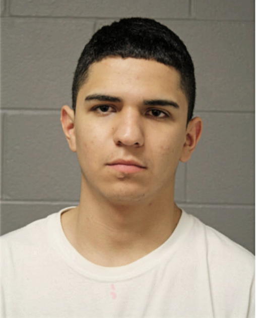 JOB DANIEL GARCIA, Cook County, Illinois
