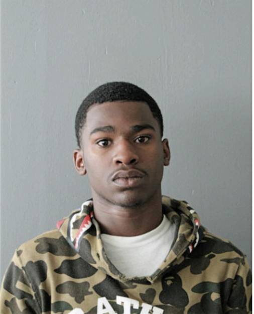 MICHAEL T GARFIELD, Cook County, Illinois
