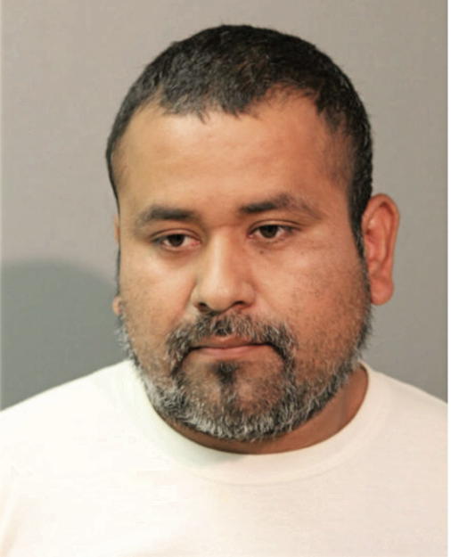 JESUS GONZALEZ-FLORES, Cook County, Illinois