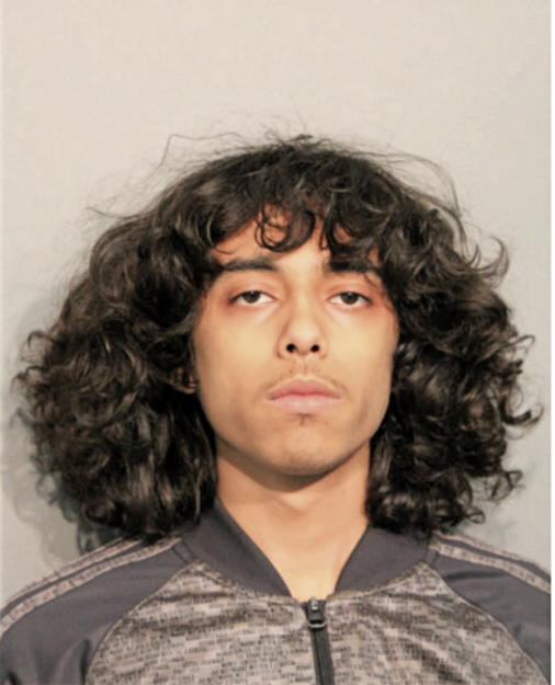 NATHANIEL MOSES GONZALEZ, Cook County, Illinois