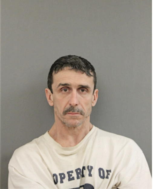 SEAN D GREENWOOD, Cook County, Illinois
