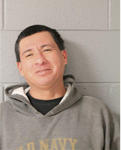 MARIO M HERNANDEZ, Cook County, Illinois