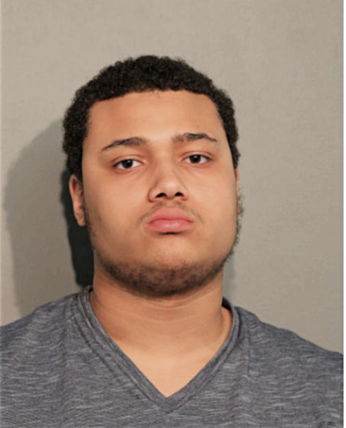 LEONARD R JOHNSON, Cook County, Illinois
