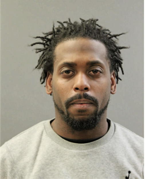 MICHAEL A JOHNSON, Cook County, Illinois