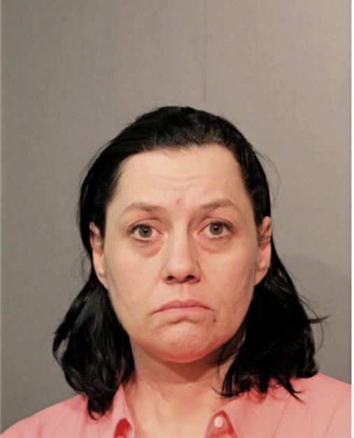 SUSAN A JONES, Cook County, Illinois