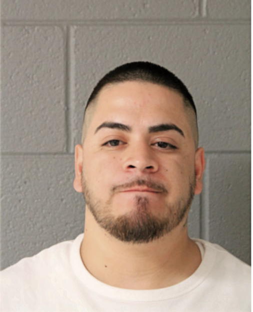 LUIS G LECHUGA, Cook County, Illinois