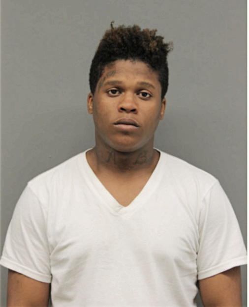 FERNANDO L LITTLE, Cook County, Illinois
