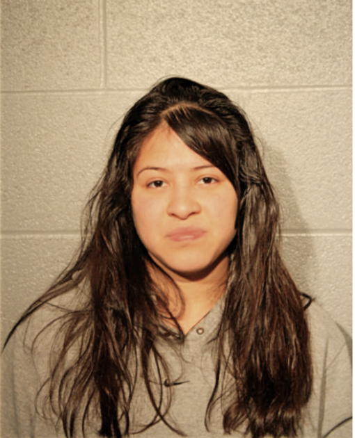 ARIANA N LOPEZ, Cook County, Illinois