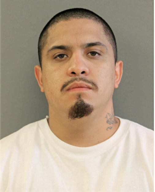 DAVID LOPEZ, Cook County, Illinois