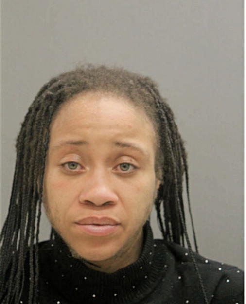 BRITTANY A LYKE, Cook County, Illinois