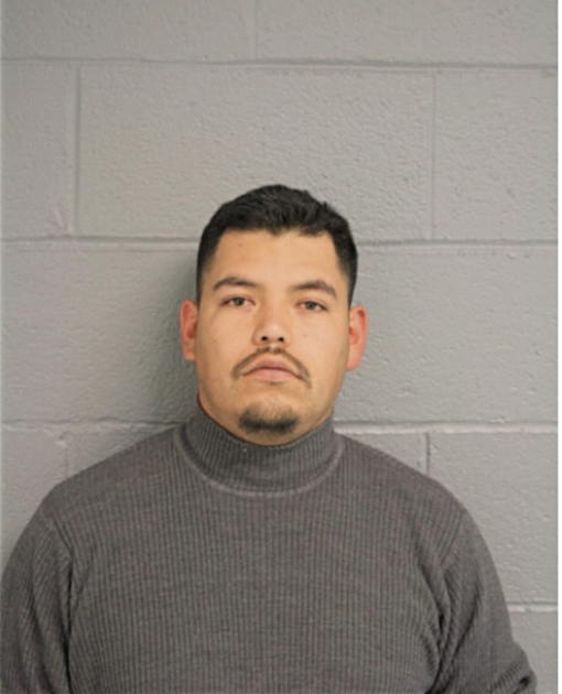 DAVID OCAMPO-MOTA, Cook County, Illinois