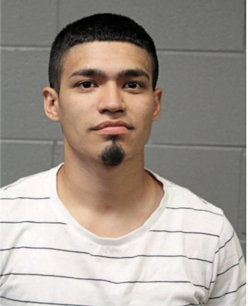 RAUL PEDROZA, Cook County, Illinois