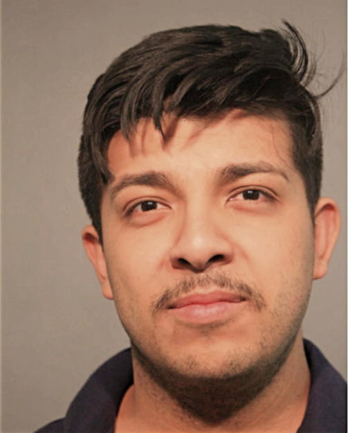 CHRISTIAN A SALAZAR, Cook County, Illinois