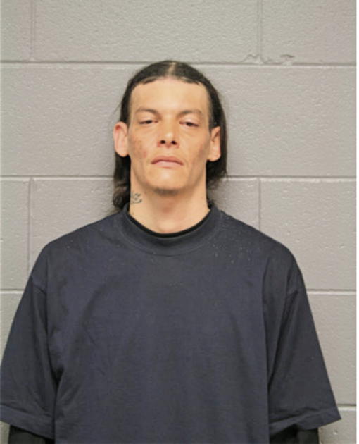 EDGAR ALBERT0 TORRES REYES, Cook County, Illinois