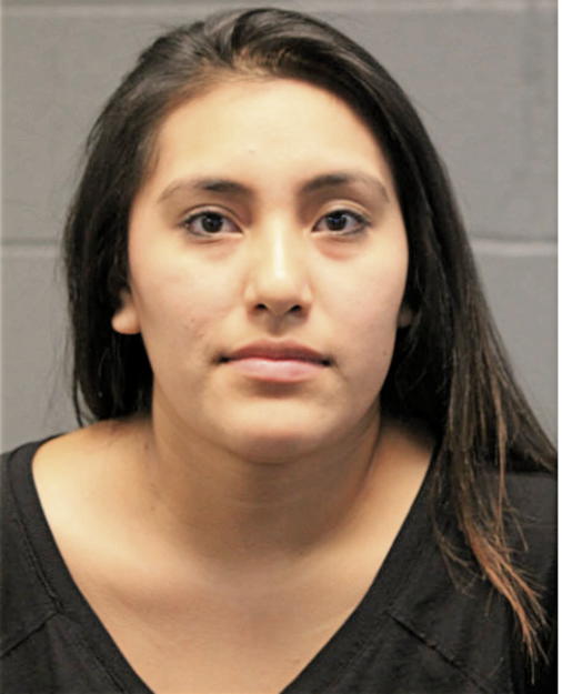 LUZ ELENA TORRES, Cook County, Illinois