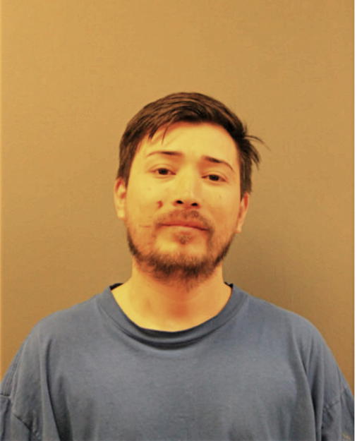CHRISTIAN F VILLAGOMEZ, Cook County, Illinois