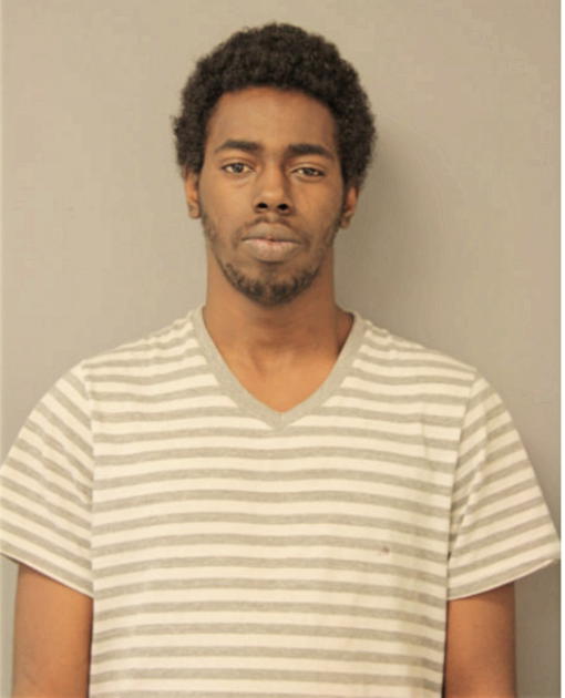 ADONIS R WILLIAMS, Cook County, Illinois