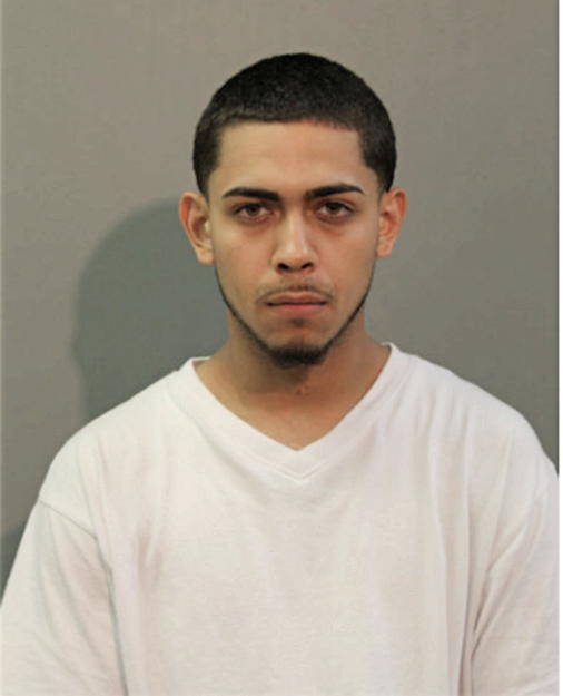 JULIAN J ZAMORA, Cook County, Illinois