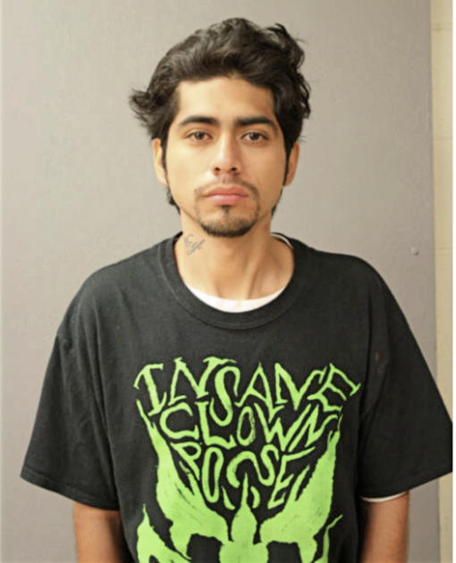 LUIS V ADUNAS, Cook County, Illinois