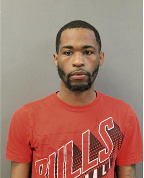 SHAHUN L ANDERSON, Cook County, Illinois