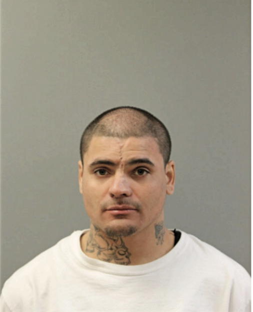 JORGE L APONTE, Cook County, Illinois
