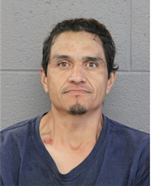 MIGUEL ARREAGA, Cook County, Illinois