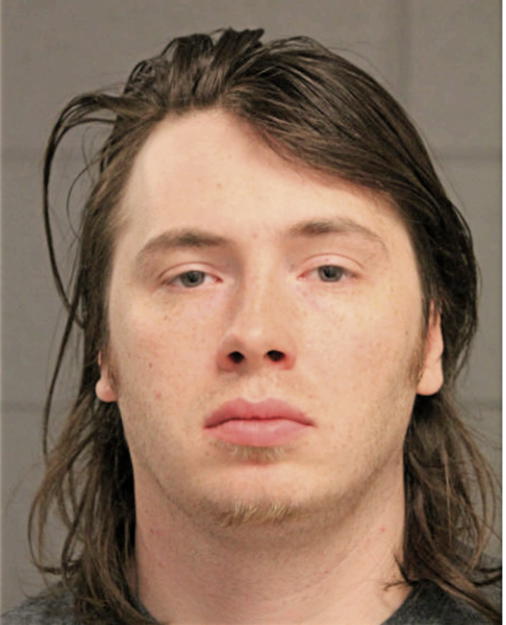 RYAN M DACE, Cook County, Illinois
